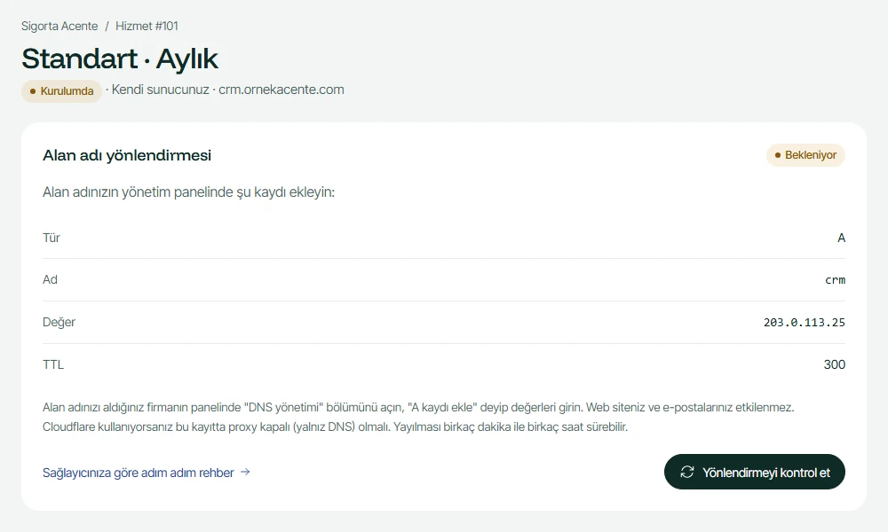 Veri Merkezi paneli: hizmet sayfasında alan adı yönlendirmesi kartı — Tür A, Ad crm, Değer sunucu IP, TTL 300